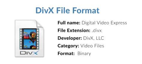 what does .divx stand for